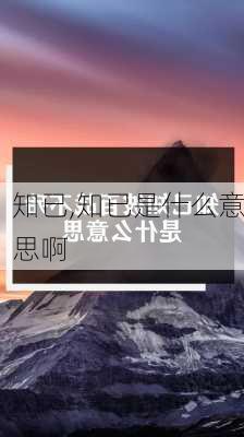 知已,知已是什么意思啊