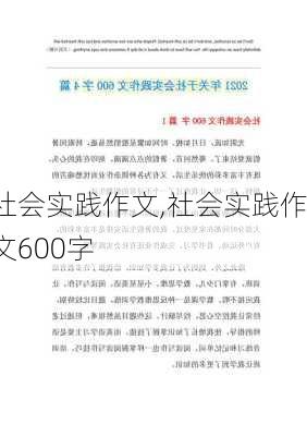 社会实践作文,社会实践作文600字-第2张图片-星梦范文网