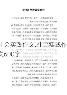 社会实践作文,社会实践作文600字