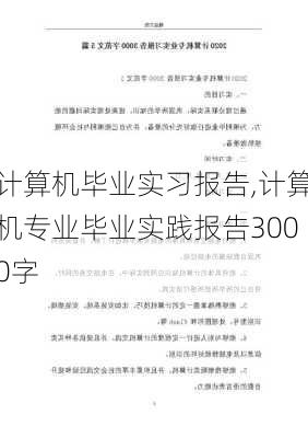 计算机毕业实习报告,计算机专业毕业实践报告3000字-第3张图片-星梦范文网