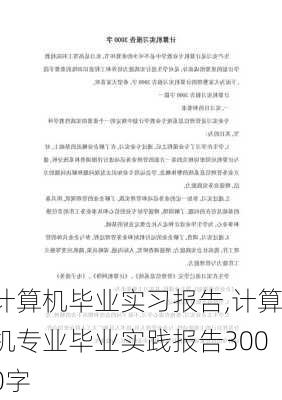 计算机毕业实习报告,计算机专业毕业实践报告3000字-第2张图片-星梦范文网