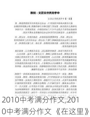 2010中考满分作文,2010中考满分作文 《在这里》-第3张图片-星梦范文网