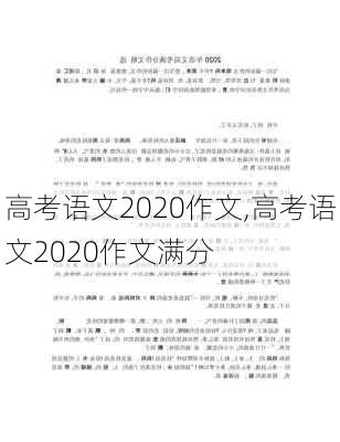 高考语文2020作文,高考语文2020作文满分