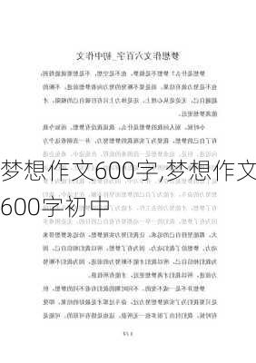 梦想作文600字,梦想作文600字初中-第3张图片-星梦范文网