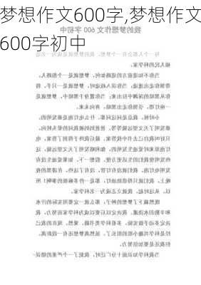 梦想作文600字,梦想作文600字初中-第2张图片-星梦范文网