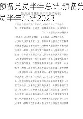 预备党员半年总结,预备党员半年总结2023-第2张图片-星梦范文网