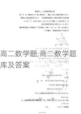 高二数学题,高二数学题库及答案-第3张图片-星梦范文网