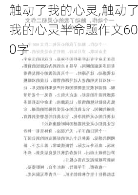 触动了我的心灵,触动了我的心灵半命题作文600字-第3张图片-星梦范文网