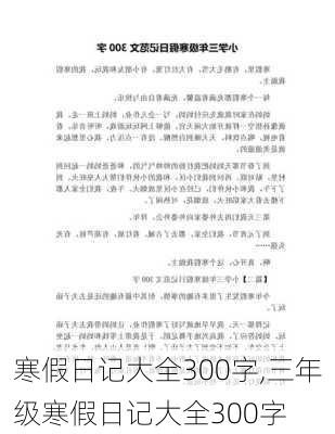 寒假日记大全300字,三年级寒假日记大全300字-第2张图片-星梦范文网