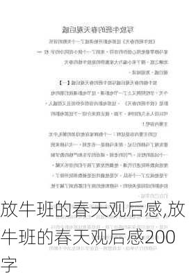 放牛班的春天观后感,放牛班的春天观后感200字-第3张图片-星梦范文网