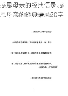 感恩母亲的经典语录,感恩母亲的经典语录20字-第2张图片-星梦范文网