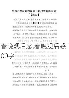 春晚观后感,春晚观后感100字-第2张图片-星梦范文网