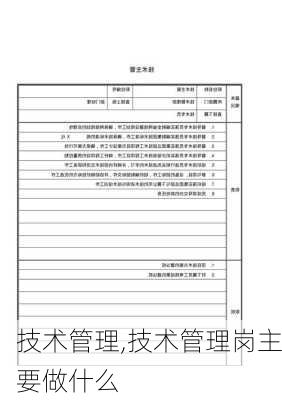 技术管理,技术管理岗主要做什么