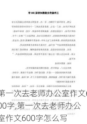 第一次去老师办公室作文600字,第一次去老师办公室作文600字怎么写-第3张图片-星梦范文网