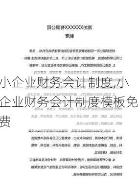 小企业财务会计制度,小企业财务会计制度模板免费