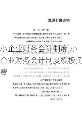 小企业财务会计制度,小企业财务会计制度模板免费-第3张图片-星梦范文网