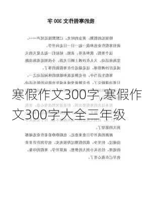 寒假作文300字,寒假作文300字大全三年级-第3张图片-星梦范文网