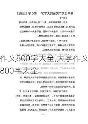 作文800字大全,大学作文800字大全-第3张图片-星梦范文网