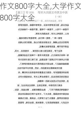 作文800字大全,大学作文800字大全-第3张图片-星梦范文网