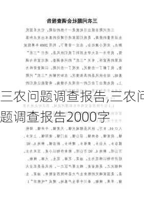 三农问题调查报告,三农问题调查报告2000字