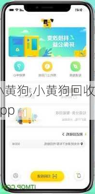 小黄狗,小黄狗回收app-第2张图片-星梦范文网