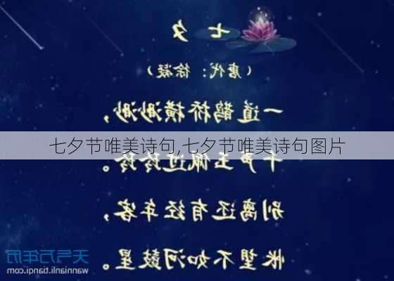 七夕节唯美诗句,七夕节唯美诗句图片-第3张图片-星梦范文网