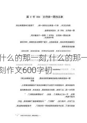 什么的那一刻,什么的那一刻作文600字初一-第2张图片-星梦范文网