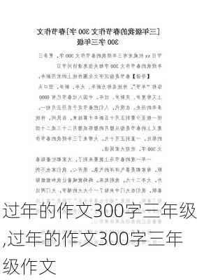 过年的作文300字三年级,过年的作文300字三年级作文-第2张图片-星梦范文网