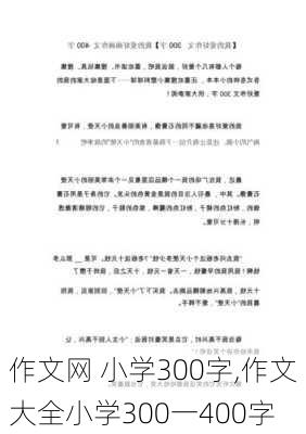 作文网 小学300字,作文大全小学300一400字-第3张图片-星梦范文网