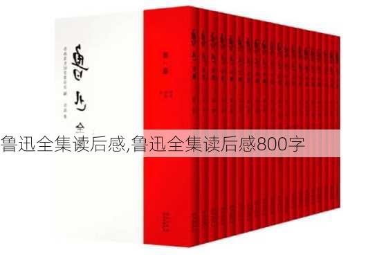 鲁迅全集读后感,鲁迅全集读后感800字-第2张图片-星梦范文网