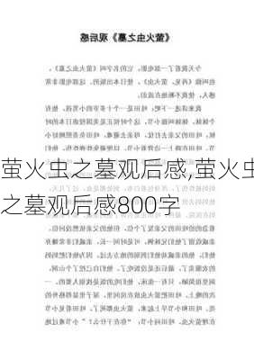 萤火虫之墓观后感,萤火虫之墓观后感800字