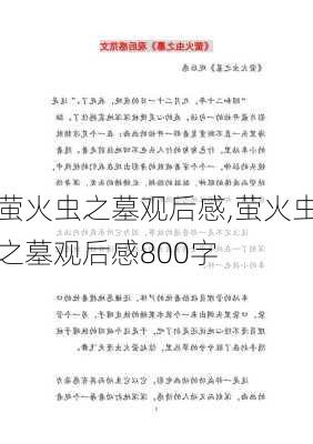 萤火虫之墓观后感,萤火虫之墓观后感800字-第2张图片-星梦范文网