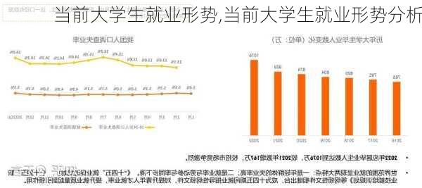 当前大学生就业形势,当前大学生就业形势分析-第2张图片-星梦范文网