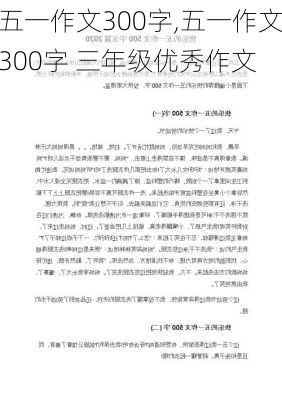 五一作文300字,五一作文300字 三年级优秀作文-第3张图片-星梦范文网