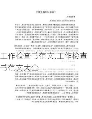 工作检查书范文,工作检查书范文大全-第3张图片-星梦范文网