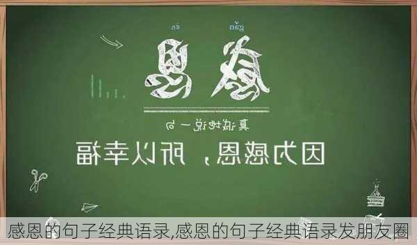 感恩的句子经典语录,感恩的句子经典语录发朋友圈-第3张图片-星梦范文网