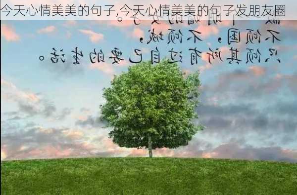 今天心情美美的句子,今天心情美美的句子发朋友圈