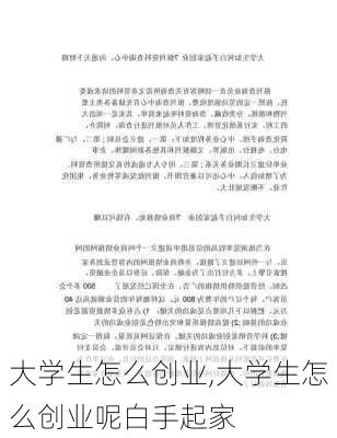 大学生怎么创业,大学生怎么创业呢白手起家-第3张图片-星梦范文网