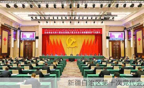 新疆自治区第十次党代会,