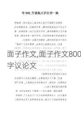 面子作文,面子作文800字议论文-第3张图片-星梦范文网