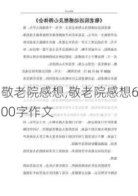 敬老院感想,敬老院感想600字作文