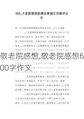 敬老院感想,敬老院感想600字作文-第2张图片-星梦范文网