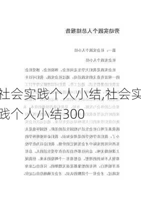 社会实践个人小结,社会实践个人小结300-第3张图片-星梦范文网