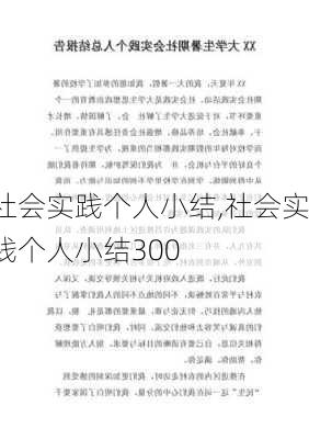 社会实践个人小结,社会实践个人小结300-第2张图片-星梦范文网