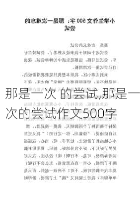 那是一次 的尝试,那是一次的尝试作文500字