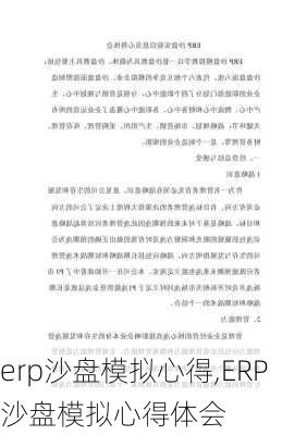 erp沙盘模拟心得,ERP沙盘模拟心得体会