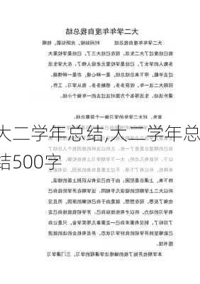 大二学年总结,大二学年总结500字