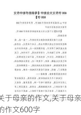 关于母亲的作文,关于母亲的作文600字-第2张图片-星梦范文网