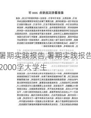 暑期实践报告,暑期实践报告2000字大学生