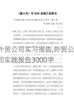 外贸公司实习报告,外贸公司实践报告3000字